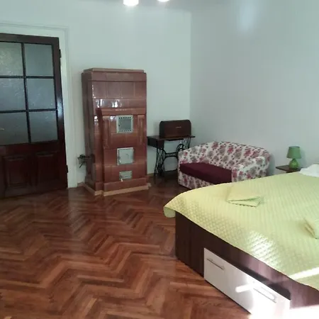 Charming Downtown Apartment