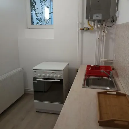 Charming Downtown Apartment Brasov