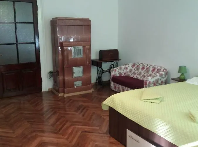 Charming Downtown Ioana Apartment