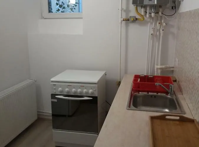 Charming Downtown Ioana Apartment Brasov